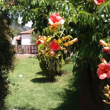 Feriehus Dimitris House *